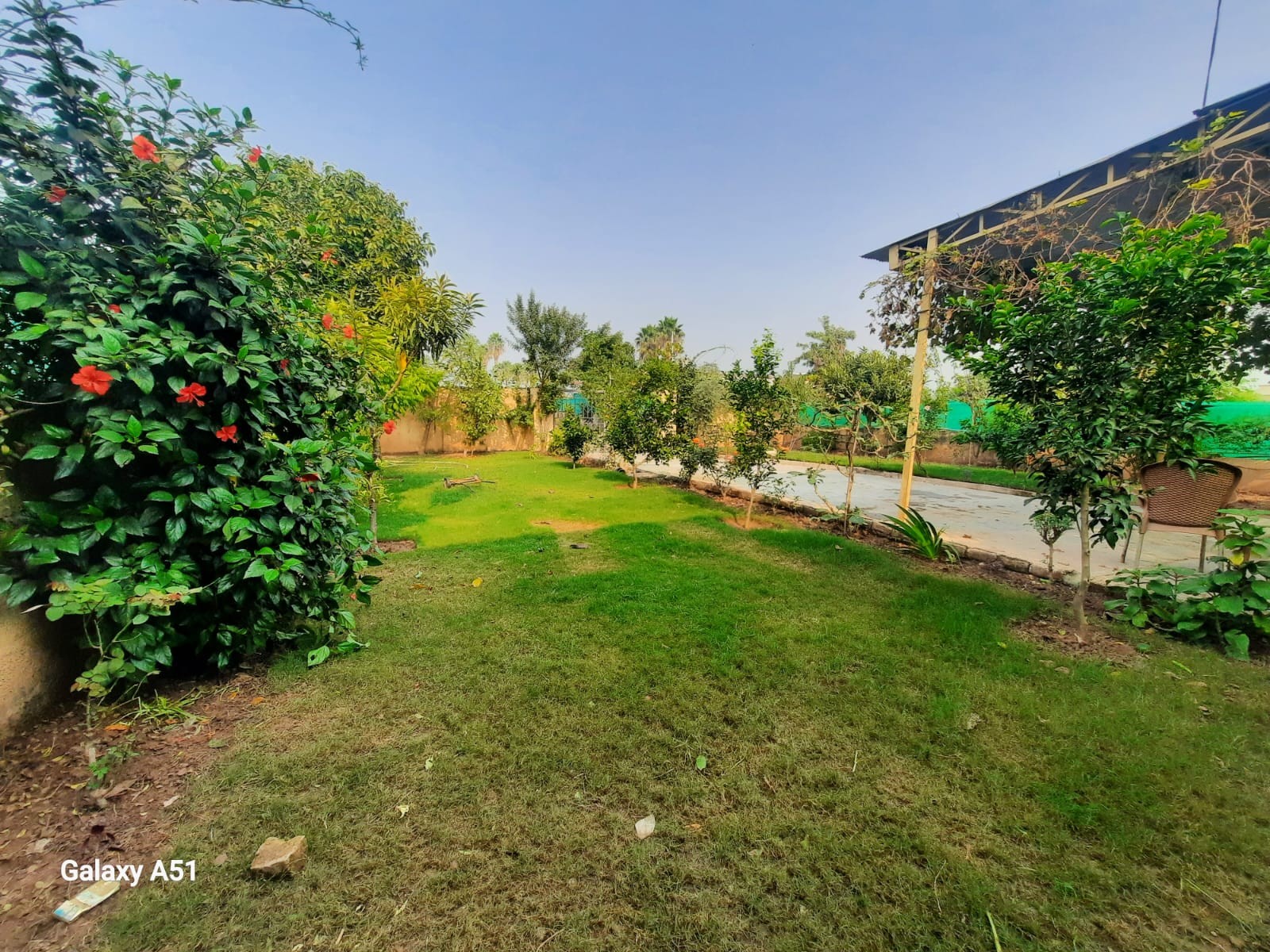 Farm House for rent-0