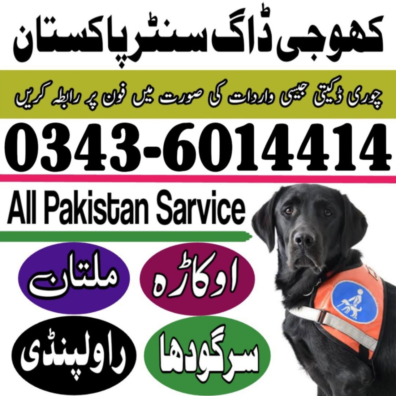 Khoji Dog Centre Okara  0300-7713578 Khoji Kutta Okara