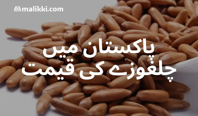 چلغوزے کی قیمت پاکستان میں بلند ترین سطح پر پہنچ گئی