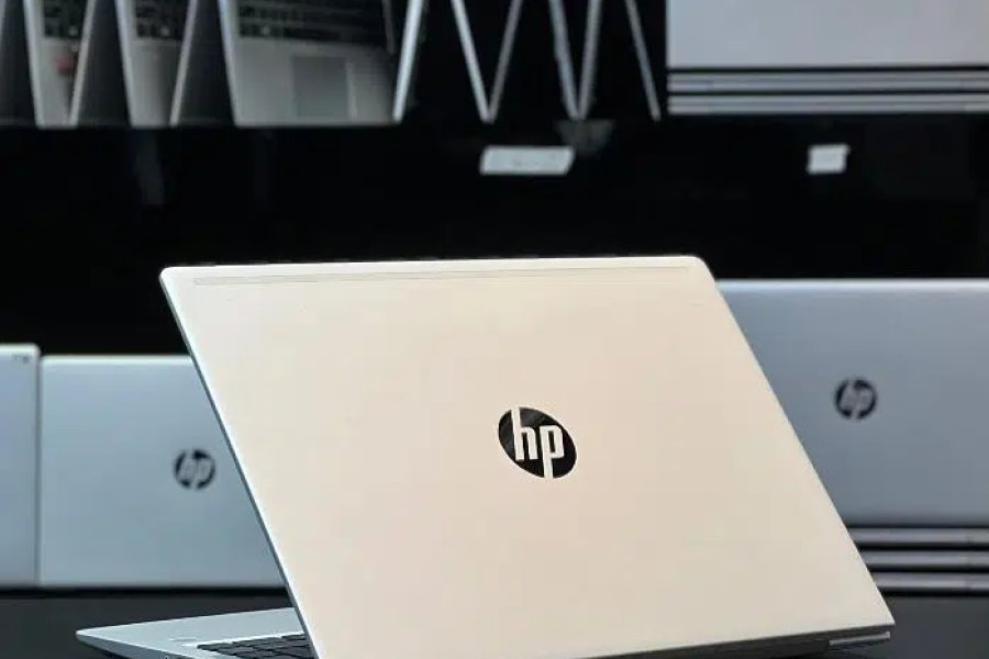 HP ProBook 440 G7 Intel Core i5 10th Gen 8/256GB 14 Inch Best Laptops-0