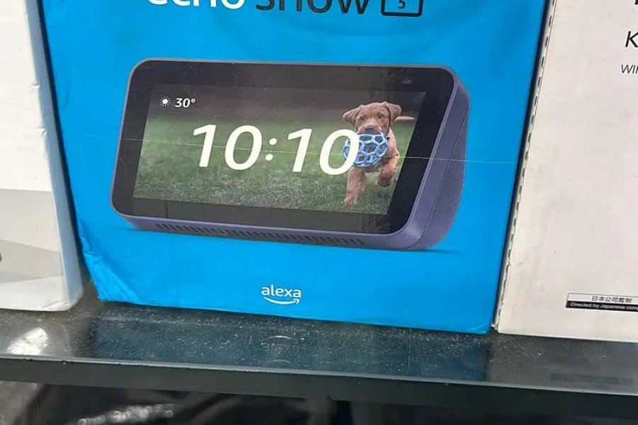 Echo Dot , Echo Show , echo, alexa , nest mini nest hub all smart spea Lake City, Lahore