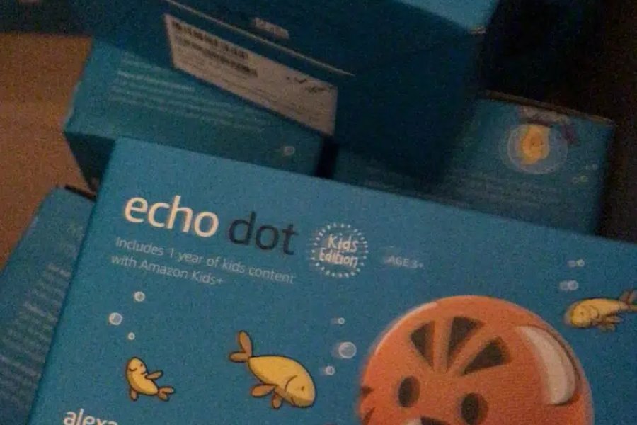 Echo Dot , Echo Show , echo, alexa , nest mini nest hub all smart spea Lake City, Lahore