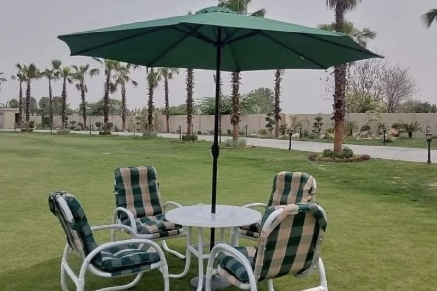 Miami Chairs Outdoor for selling, 9K each chair
