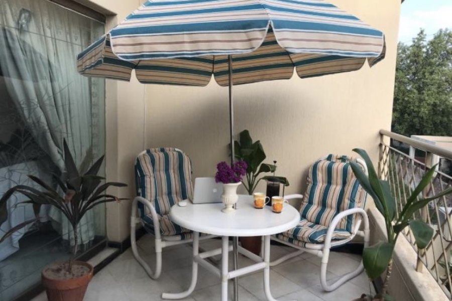 Miami Chairs Outdoor for selling, 9K each chair