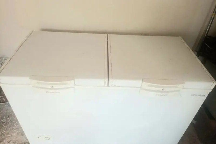 Waves Freezer WDFT-315 ( hardly used very good condition)