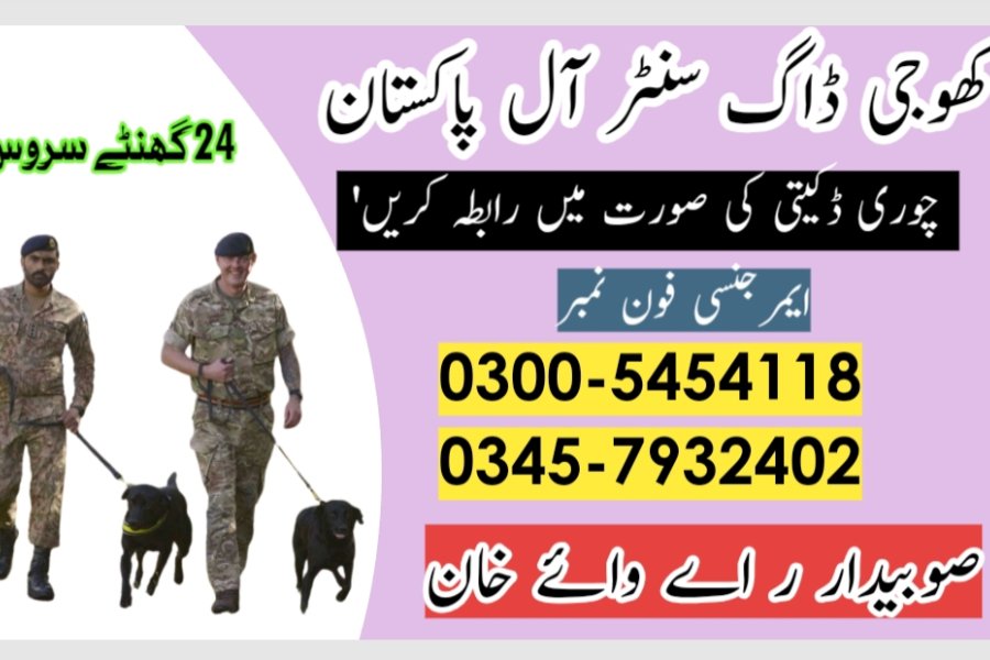 Army Dog Centre Swabi 03005454118 ( khoji dog)