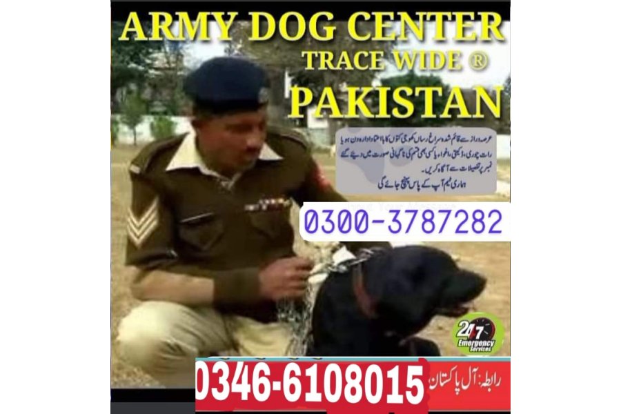 Army Dog Center talagang 0304-0763736