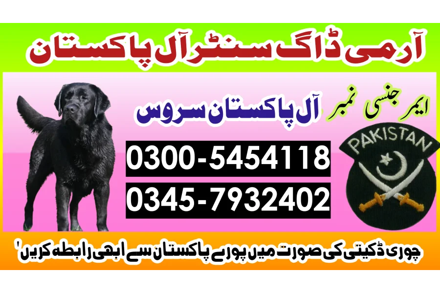 Khoji Dog in Rawalpindi 03005454118 ! Khoji kutta Rawalpindi