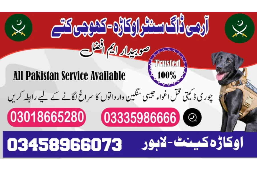 Army dog center Okara 03458966073 (okara khoji dog center okara)-0