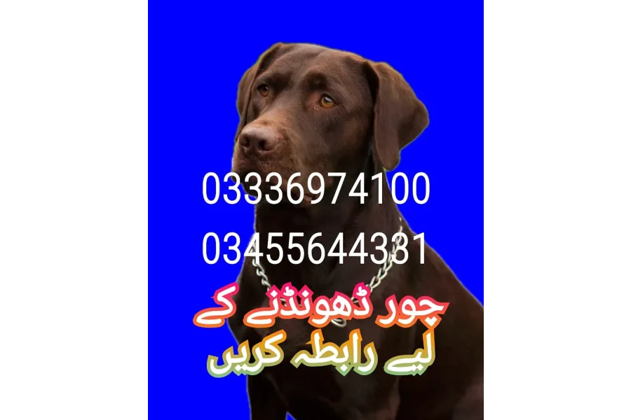 Army dog center mirpur district 03455644331_03017735103-0