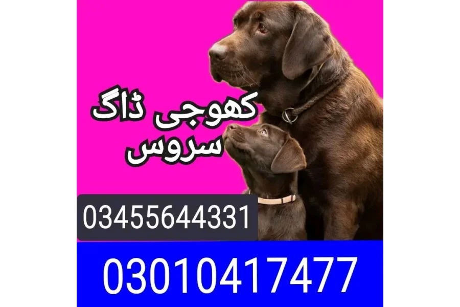 Army dog center nathia gali 03455644331-0