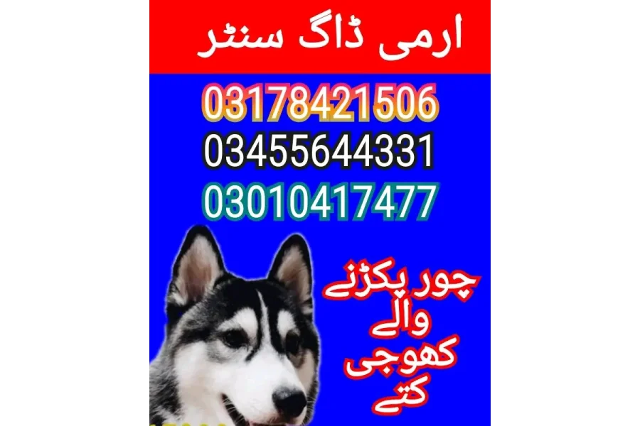 Army dog center bahawalnagar 03010417477-0