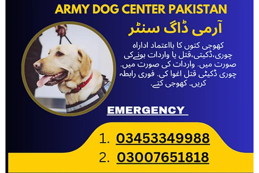 Army Dog Center 03007651818 / کھوجی کتے