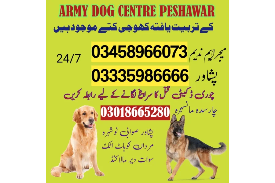 Army Dog Center Peshawar 03009780927(khoji kuttay)