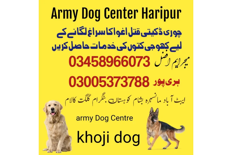 Army Dog Center Haripur 03335986666(khoji dogs)