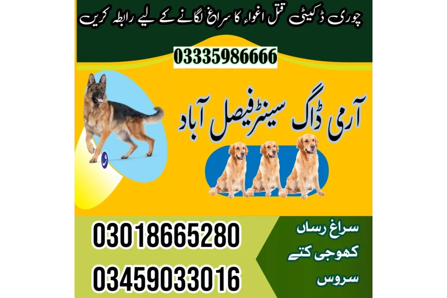 Army Dog Center Faisalabad 03458966073(sniffing dogs)