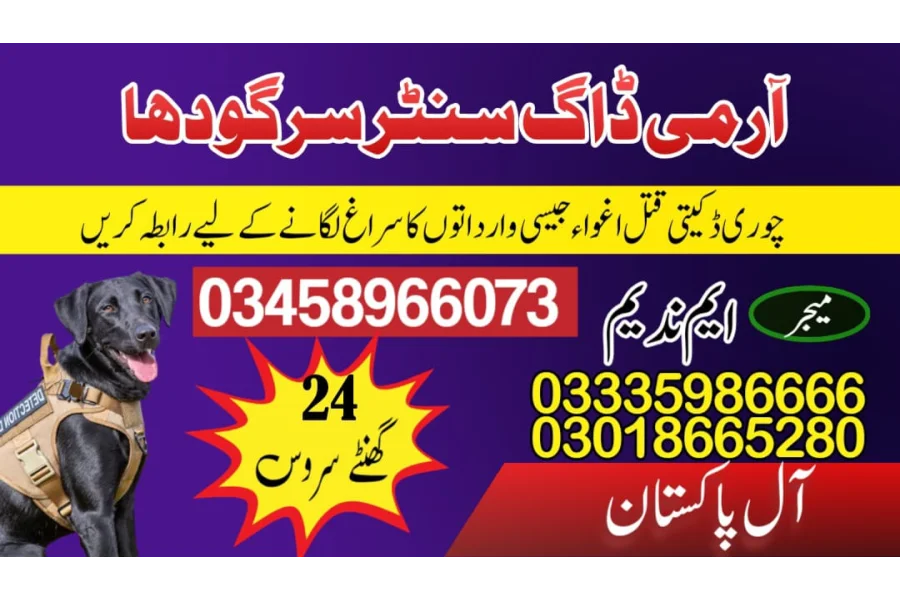 Army Dog Center Sargodha 03009780927-0