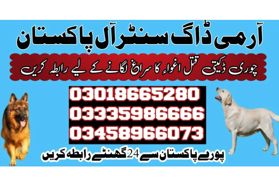 آرمی ڈاگ سینٹر سندھ 03009780927-0