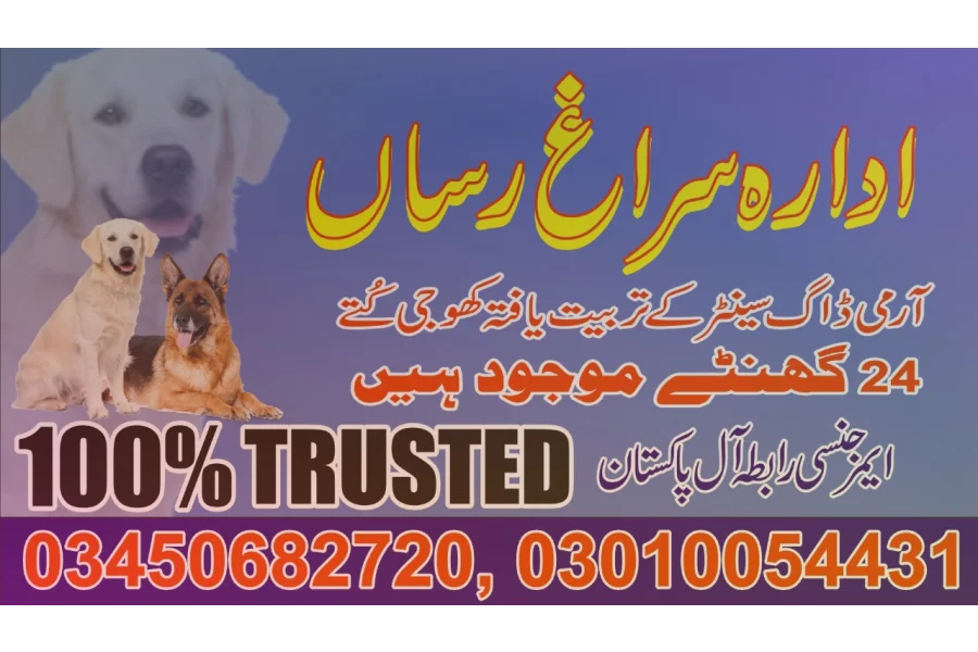 Army dog centre Faisalabad 03450682720-0