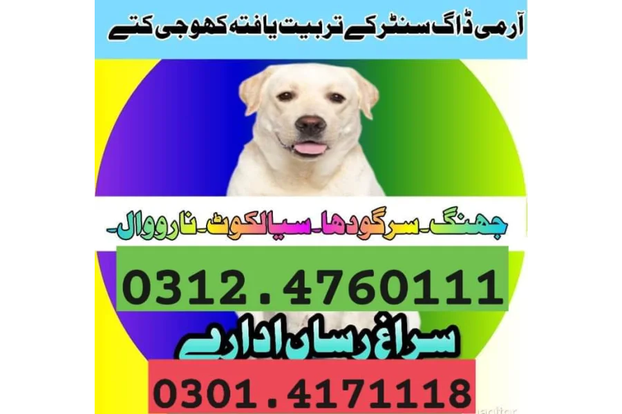 Army Dog Center Multan 03454760111-0