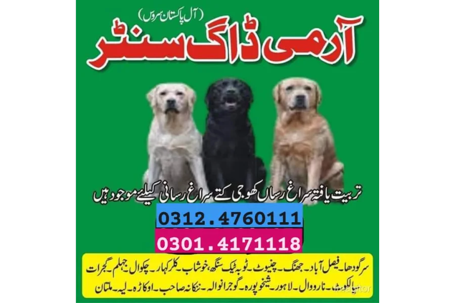 آرمی ڈاگ سنٹر جہلم 03454760111-0