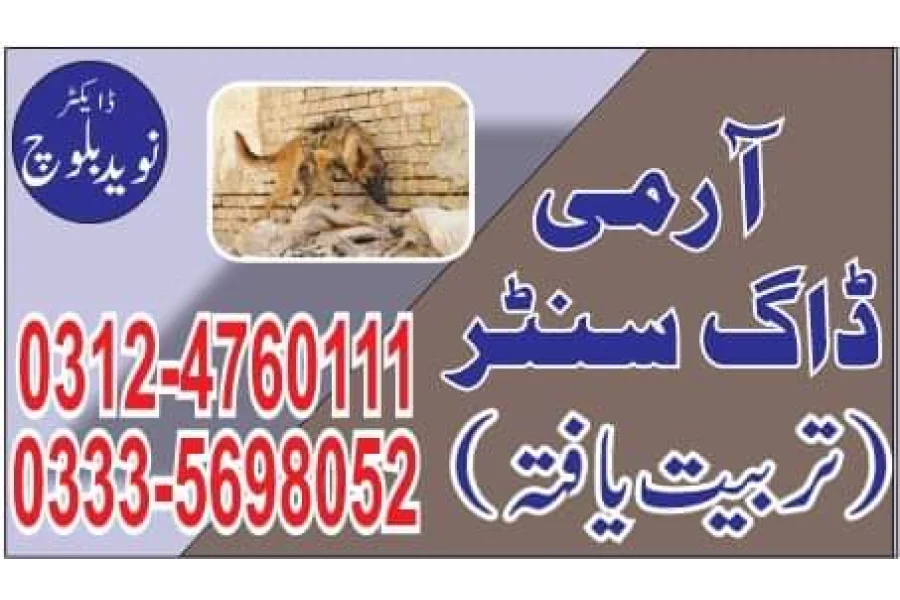 Army Dog Center Attock 03454760111-0
