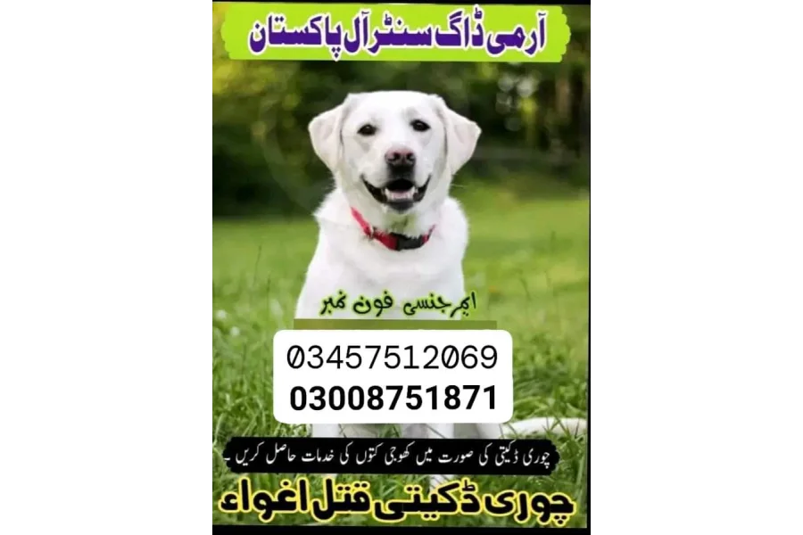 Army Dog Center kharian 03457512069-0