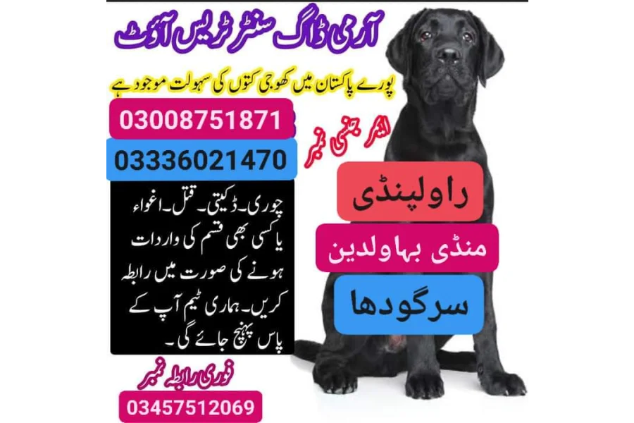 Army Dog Center Sargodha 03455606639-0