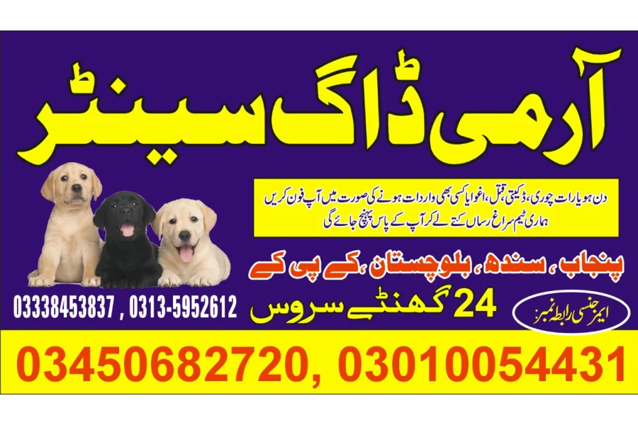 Army Dog Center Islamabad 03010054431-0