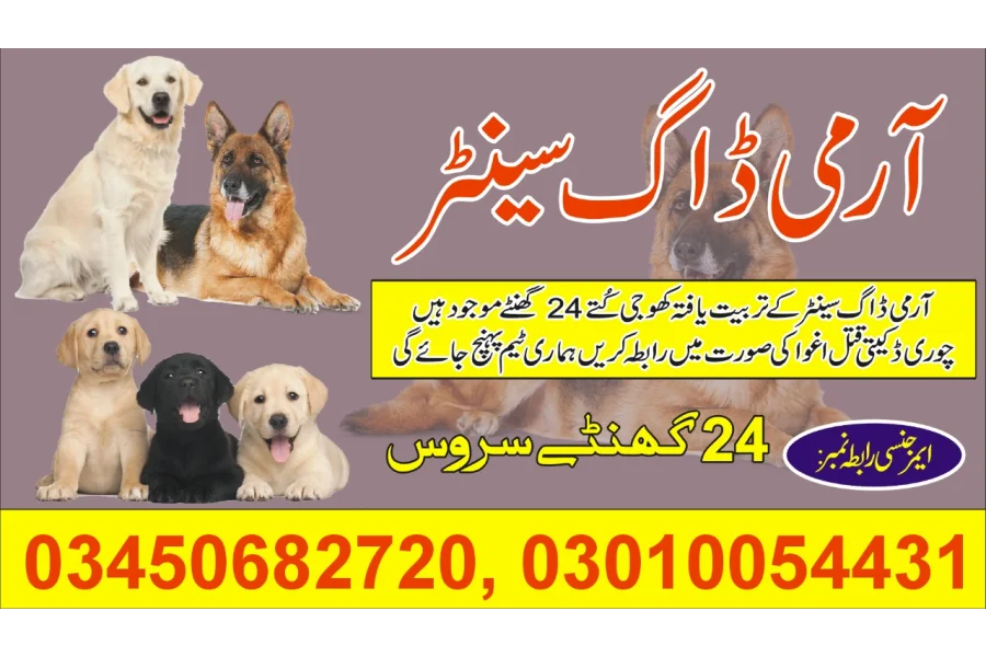 Army Dog Center Sialkot 03010054431