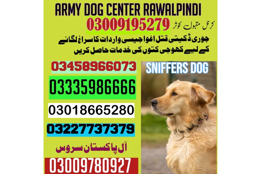 Army Dog Center gujar khan 03009195279 khoji dog center in gujar Khan