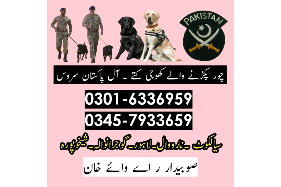 Khoji Dog Centre Hafizabad #03016336959