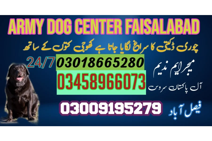 Army Dog Centre Rawalpindi 03009195279 khoji dog in Rawalpindi