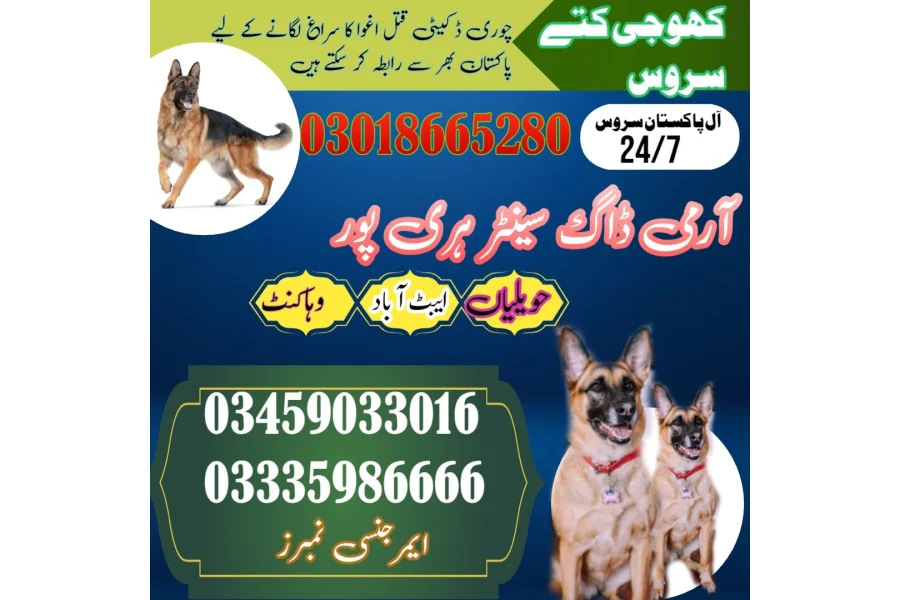 Army Dog Centre wahcantt 03458966073 khoji dog center wahcantt