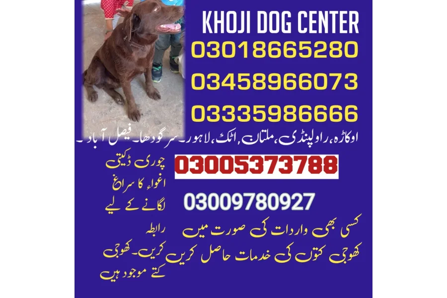 Army Dog Centre Attock 03018665280 khoji dog center Attock