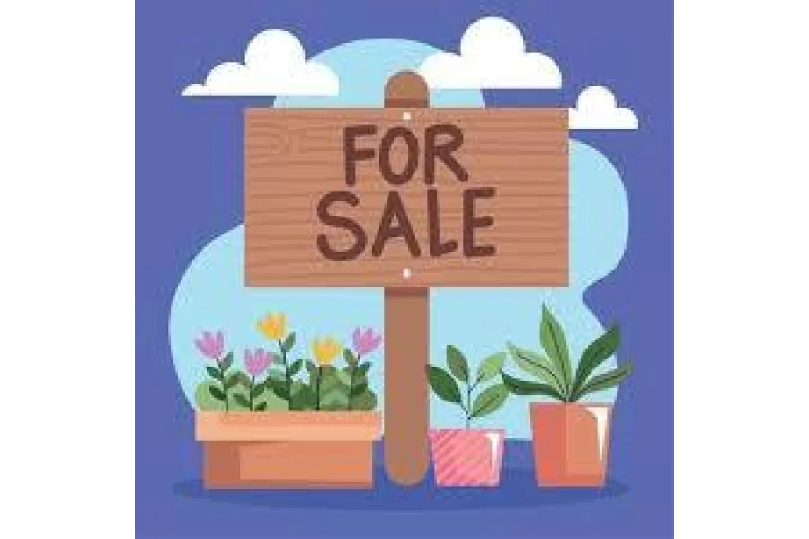 رنگ روڈ راولپنڈی میں 3 مرلہ پلاٹ برائے فروخت میں - پلاٹ # 19-0