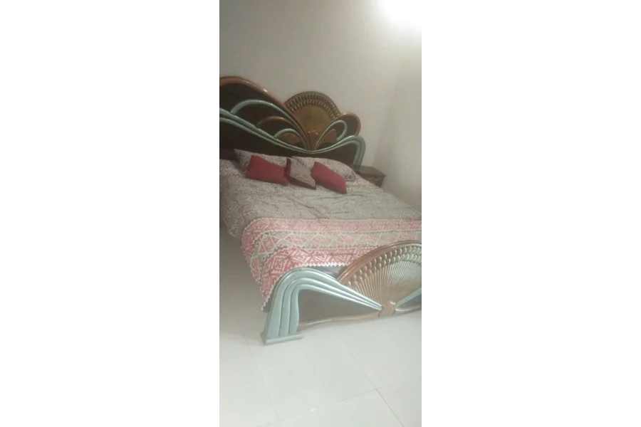 Master Double Bed with Dressing