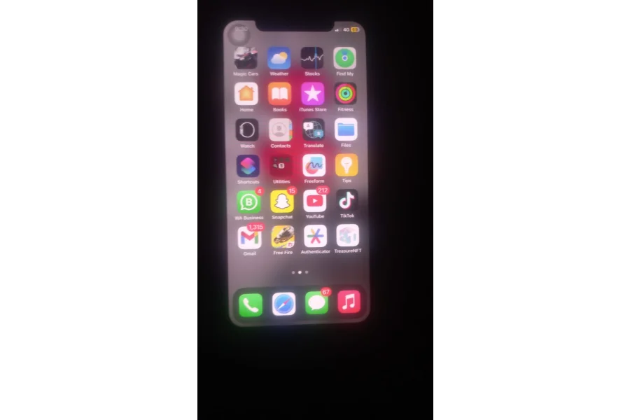 iPhone X pta approved