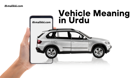 Vehicle Meaning in Urdu