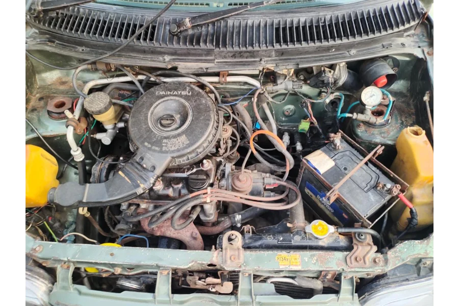 Cuore avialble for sale