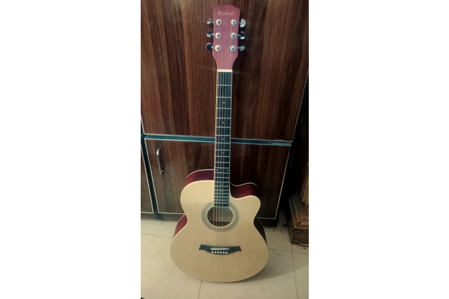 Acoustic Guitar