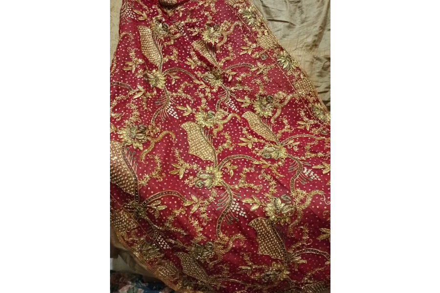 Luxurious bridal lehenga choli