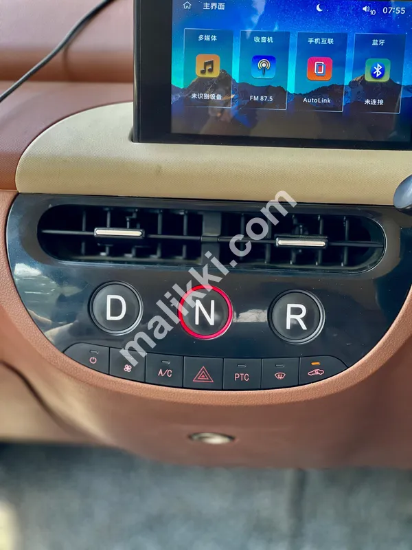 RINCO ARIA EV  * MODEL: 2021 Available For Sale