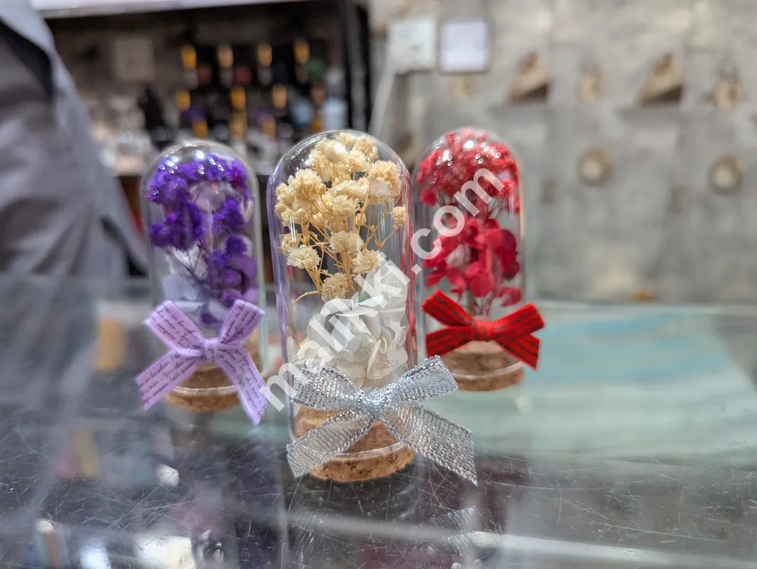 glass Bottles