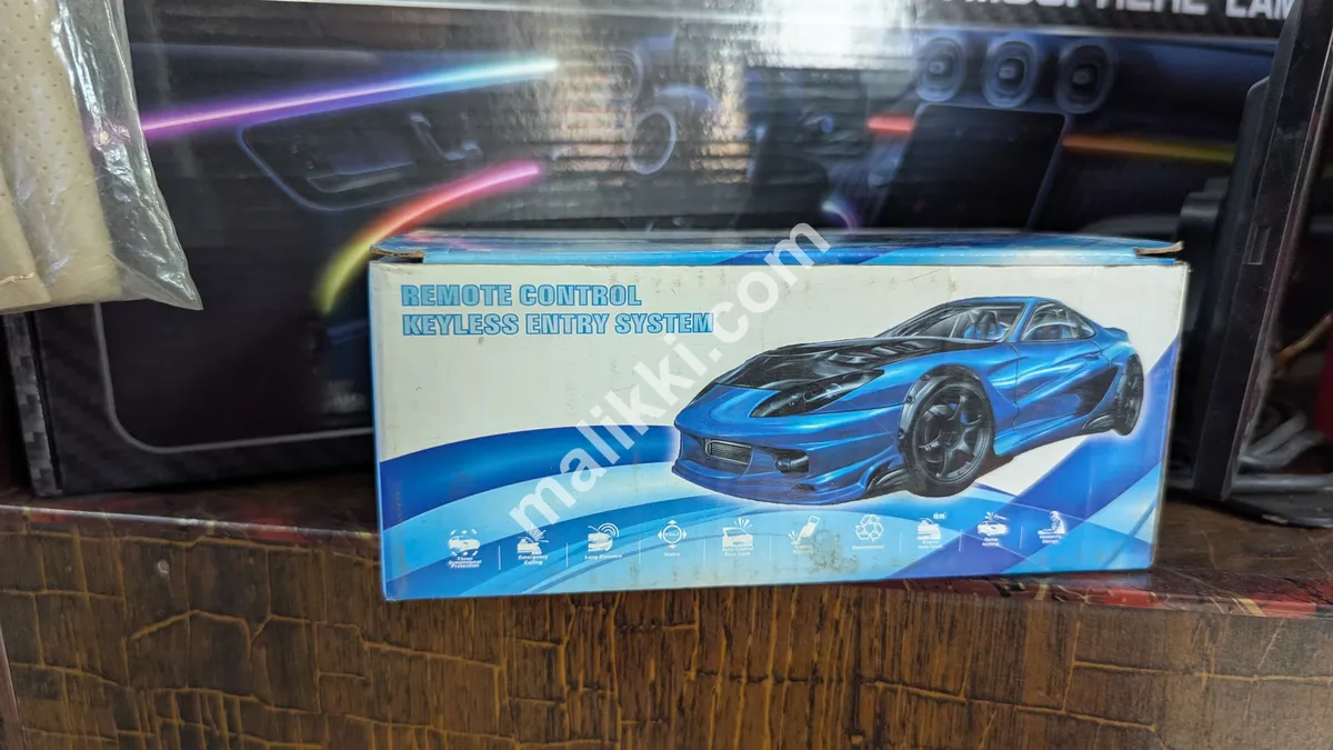 Remote Control Keyless Entry System