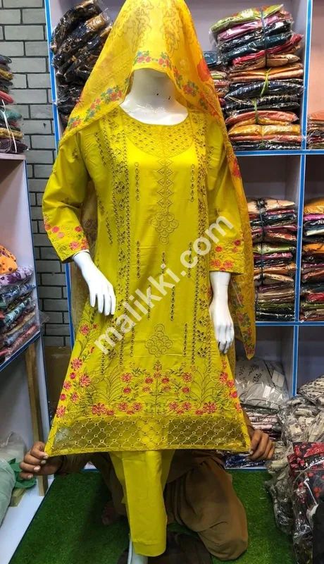 Ladies Shalwar Kameez Suit