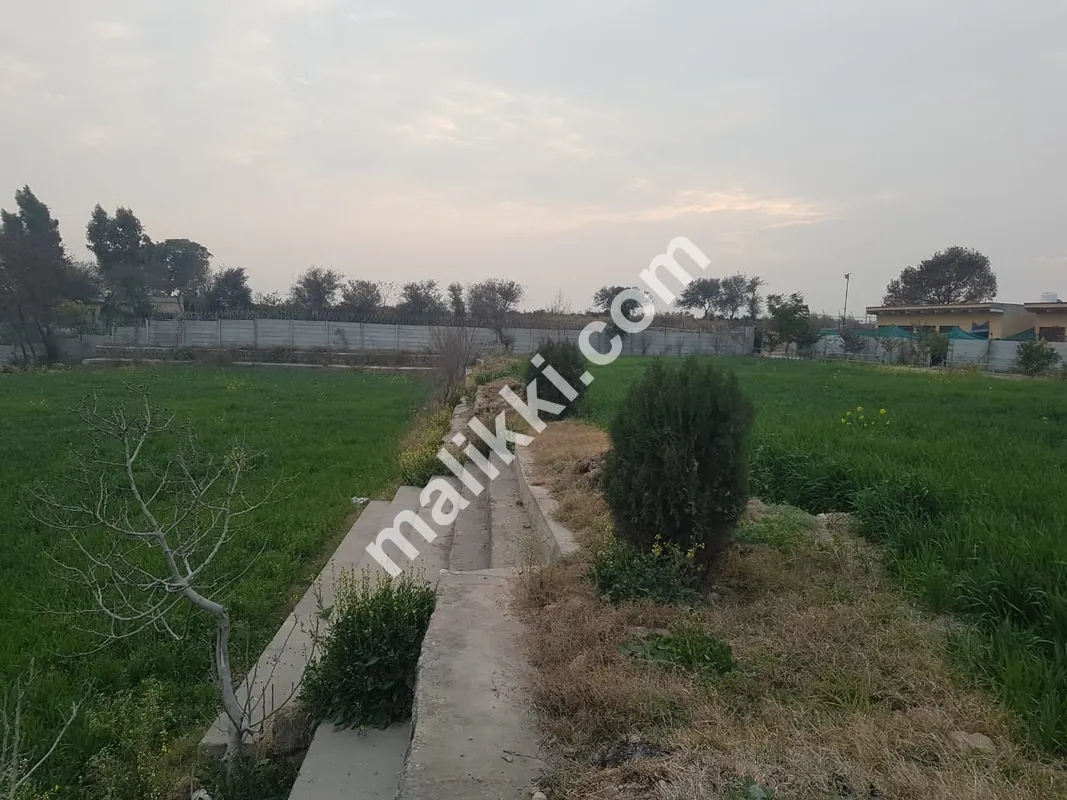 ڈیری فارم برائے فروخت