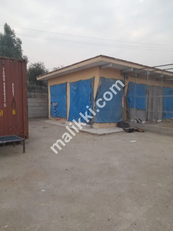 ڈیری فارم برائے فروخت