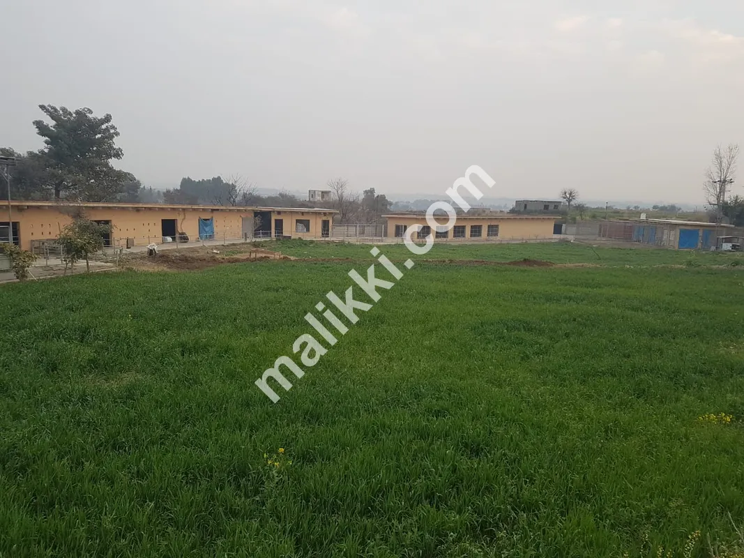 ڈیری فارم برائے فروخت