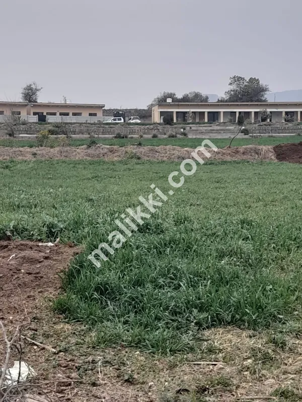 ڈیری فارم برائے فروخت